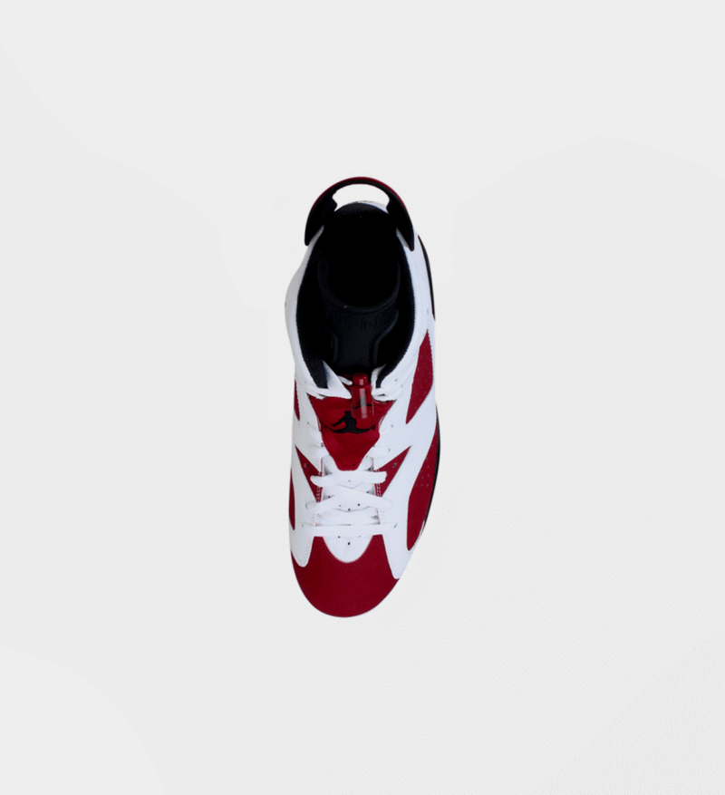 Air Jordan 6 Carmine 2014