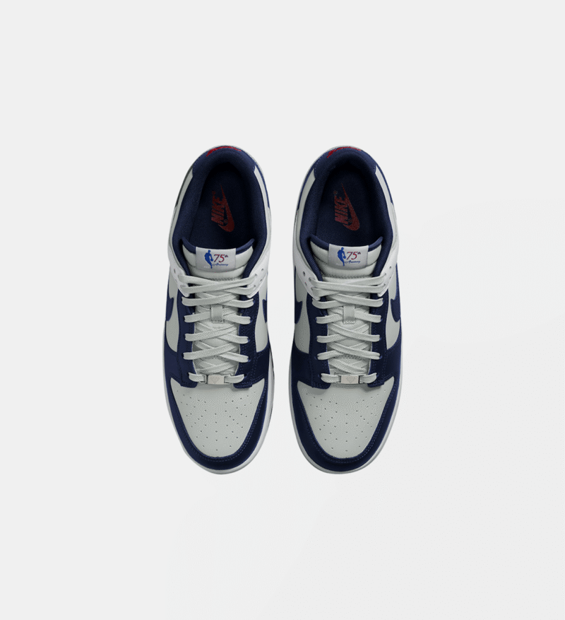 NBA X Nike Dunk Low Retro Brooklyn Nets