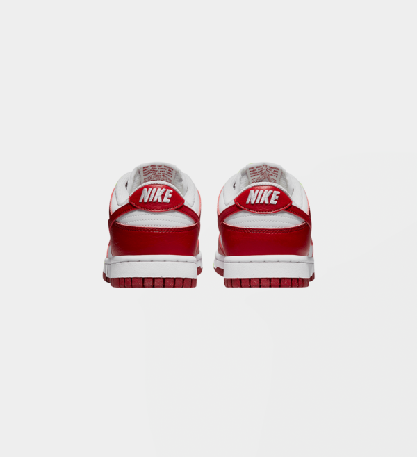 ipad nike dunk low wmns next nature gym red 3 1